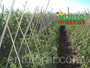 malla espaldera para cultivo